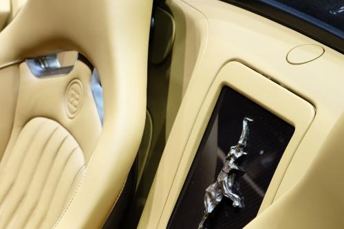 Bugatti Veyron Grand Sport Vitesse Rembrandt Geneva (2014) - picture 9 of 10