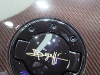 Bugatti Veyron Grand Sport Vitesse Rembrandt Geneva (2014)