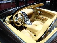 Bugatti Veyron Grand Sport Vitesse Rembrandt Geneva (2014) - picture 10 of 10