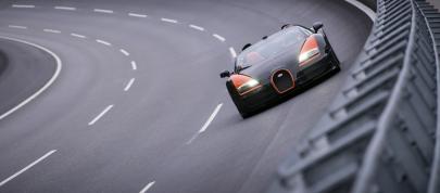 Bugatti Veyron Grand Sport Vitesse World Record Car Edition (2013) - picture 4 of 17