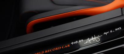 Bugatti Veyron Grand Sport Vitesse World Record Car Edition (2013) - picture 7 of 17