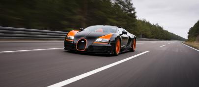 Bugatti Veyron Grand Sport Vitesse World Record Car Edition (2013) - picture 12 of 17