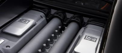 Bugatti Veyron Grand Sport Vitesse World Record Car Edition (2013) - picture 15 of 17