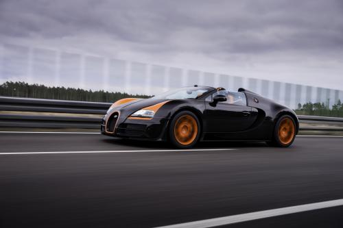 Bugatti Veyron Grand Sport Vitesse World Record Car Edition (2013) - picture 9 of 17