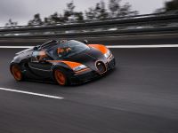 Bugatti Veyron Grand Sport Vitesse World Record Car Edition (2013) - picture 2 of 17