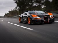 Bugatti Veyron Grand Sport Vitesse World Record Car Edition (2013) - picture 10 of 17