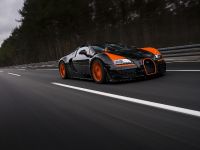 Bugatti Veyron Grand Sport Vitesse World Record Car Edition (2013) - picture 11 of 17