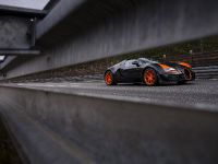 Bugatti Veyron Grand Sport Vitesse World Record Car Edition (2013) - picture 14 of 17