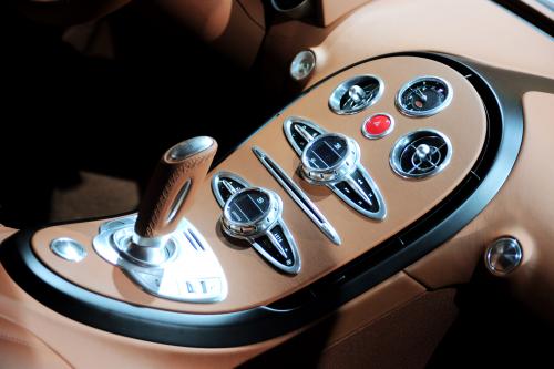 Bugatti Veyron Sang d'Argent (2009) - picture 1 of 3