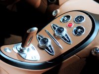 Bugatti Veyron Sang dArgent (2009)