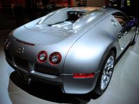 Bugatti Veyron Sang dArgent