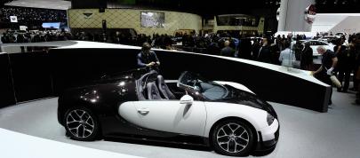Bugatti Vitesse Geneva (2014) - picture 4 of 9