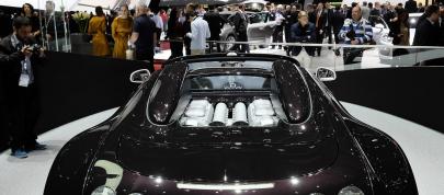 Bugatti Vitesse Geneva (2014) - picture 7 of 9