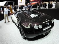 Bugatti Vitesse Geneva (2014) - picture 6 of 9