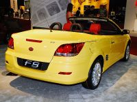 BYD Auto F8 Detroit (2008) - picture 2 of 3