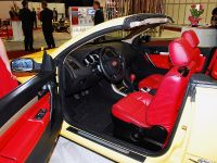 BYD Auto F8 Detroit (2008) - picture 3 of 3