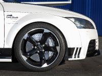 Cam Shaft Audi TT RS White Edition by PP-Performance (2013) - picture 11 of 18