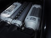 Cam Shaft Bugatti Veyron Sang Noir (2012)