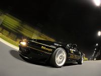 Cam Shaft Lotus Esprit V8 (2012) - picture 4 of 11