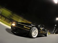 Cam Shaft Lotus Esprit V8 (2012) - picture 4 of 11