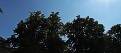 Cam Shaft Porsche 997 GT3 (2013) - picture 7 of 21