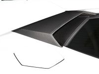 Capristo Lamborghini Aventador Carbon (2012) - picture 11 of 17