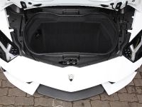 Capristo Lamborghini Aventador Carbon (2012)