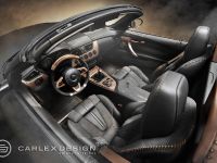 Carlex Design BMW Z4 E89 (2014) - picture 2 of 7