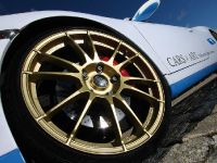 Cars & Art Porsche 911 Carrera 4S (2011)