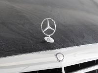 CFC Mercedes-Benz S65 AMG (2012) - picture 14 of 19