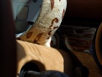 Chateau MINI (2009) - picture 14 of 16