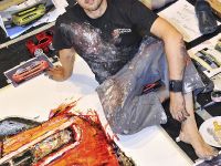 Chevrolet Camaro Convertible Painting (2008)