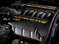 Chevrolet Corvette Jake Edition Concept (2010) - picture 5 of 6