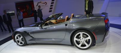 Chevrolet Corvette Stingray Geneva (2013) - picture 4 of 6