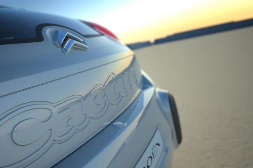 Citroen C-Cactus (2007) - picture 16 of 16