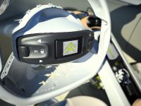 Citroen C-Cactus (2007) - picture 11 of 16