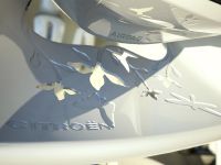 Citroen C-Cactus (2007) - picture 13 of 16