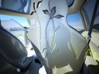 Citroen C-Cactus (2007) - picture 14 of 16