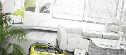 Citroen C3 Picasso (2009) - picture 4 of 8