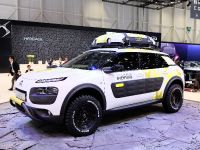 Citroen C4 Cactus Geneva (2014) - picture 5 of 8