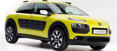 Citroen C4 Cactus (2014) - picture 20 of 27