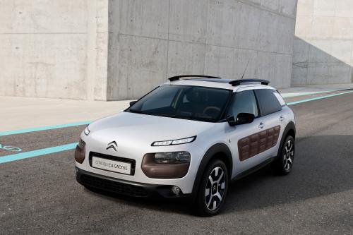 Citroen C4 Cactus (2014) - picture 8 of 27
