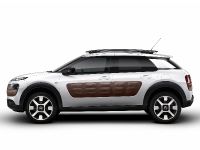 Citroen C4 Cactus (2014) - picture 1 of 27