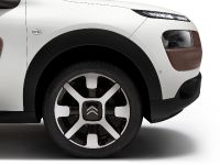 Citroen C4 Cactus (2014) - picture 6 of 27