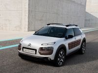 Citroen C4 Cactus (2014) - picture 8 of 27