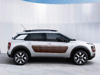 Citroen C4 Cactus (2014)