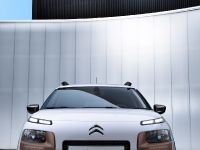 Citroen C4 Cactus (2014) - picture 10 of 27