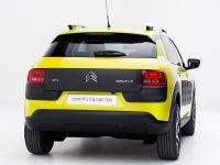 Citroen C4 Cactus (2014) - picture 22 of 27