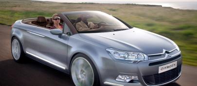 Citroen C5 Airscape (2007) - picture 4 of 5