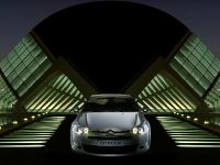Citroen C5 (2008) - picture 1 of 14
